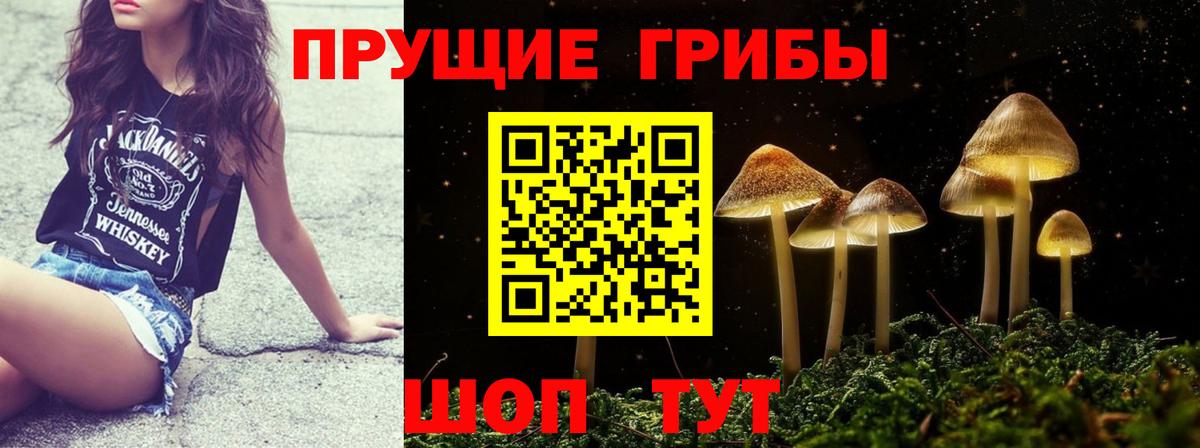 купить   Вход с VPN  Нурлат  Галлюциногенные грибы мицелий 